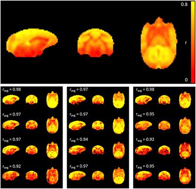 Estimating and mitigating the effects of systemic low frequency oscillations (sLFO) on resting state networks in awake non-human primates using time lag dependent methodology